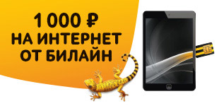 Интернет в подарок от билайна 381